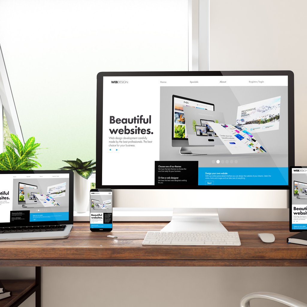 Professional - الصورة 2